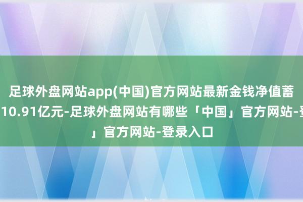 足球外盘网站app(中国)官方网站最新金钱净值蓄意值为210.91亿元-足球外盘网站有哪些「中国」官方网站-登录入口